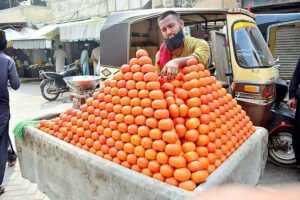 A vendor displaying the persimmon fruit to attract the customers on hand cart outside road.