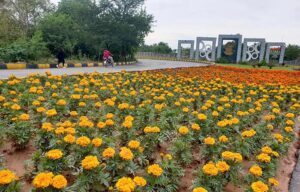  A picturesque sight unfolds as flowers bloom along the Islamabad Expressway