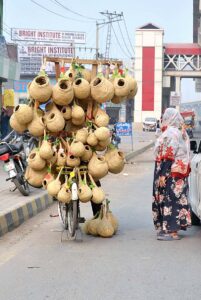 A vendor displaying colorful fish to attract customers at his roadside setup
