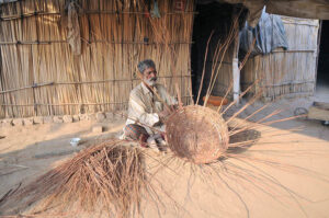 An aged person preparing a basket with dry branches of the tree to sell for livelihood outside his makeshift home