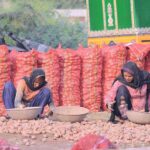 Women workers sorting potatoes at Vegetable Market
