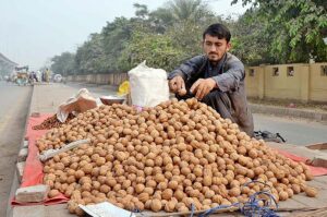 Roadside Vendor displaying Walnuts to attract customers.