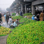 Vendors displaying seasonal fruit mosambi to attract the customers at fruit market