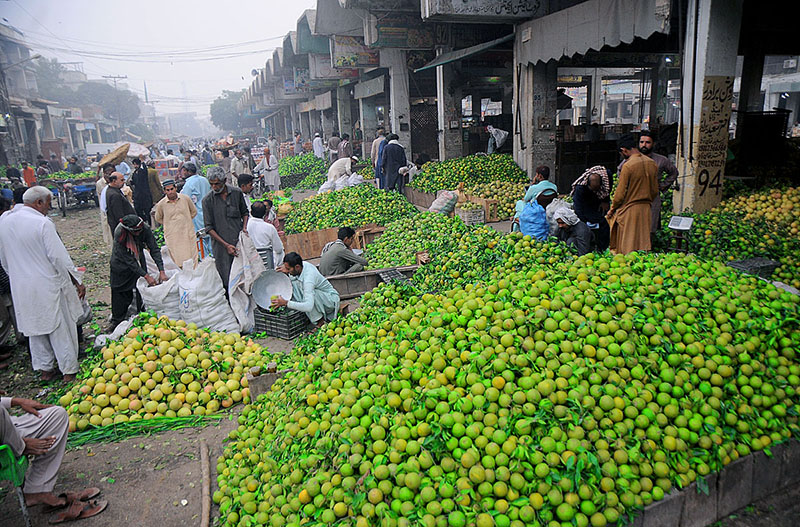 Vendors displaying seasonal fruit mosambi to attract the customers at fruit market
