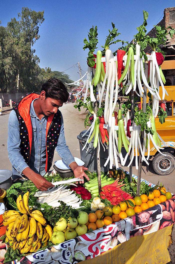 A vendor arranging and displaying salad on his cart to attract the customers