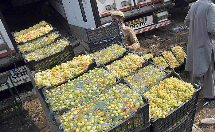 A labourer carrying crates of fruit at Fruit and Vegetable Market.