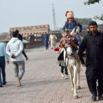 Children enjoying horse riding during a holiday at the Royal Fort.