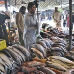 People purchasing fish from a vender stall displayed to attract the customers at weekly Bazaar as demand increased during winter season