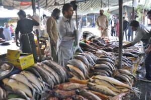 People purchasing fish from a vender stall displayed to attract the customers at weekly Bazaar as demand increased during winter season