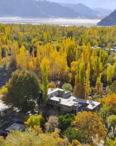 An attractive and eye catching view of leaves of tree changing colors around the Shigar Fort to mark autumn