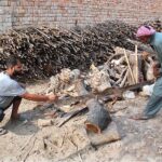 Workers are cutting wood with a saw that can be sent to the market for sale