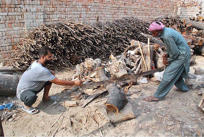 Workers are cutting wood with a saw that can be sent to the market for sale