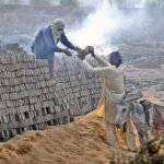 Daily wages laborers busy in unloading bricks from donkey at a local kiln near Bypass Road