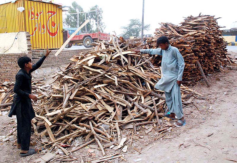 Laborers gathering cut wood, which is later used in furniture production for the market