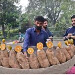 A vendor selling charcoal-roasted sweet potatoes to attract customers at his roadside setup.