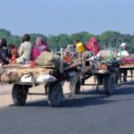 A nomad family is journeying on a donkey cart along the Muhammad Wala Road