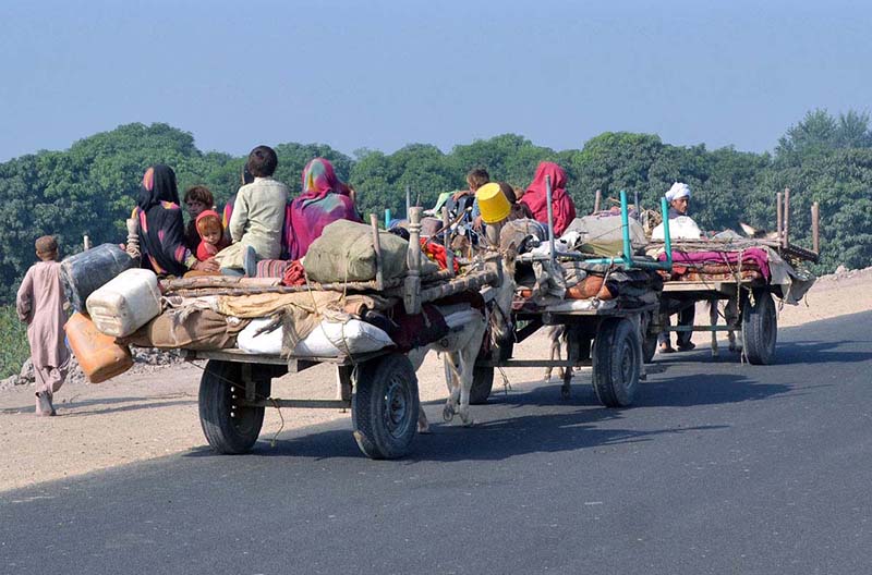 A nomad family is journeying on a donkey cart along the Muhammad Wala Road