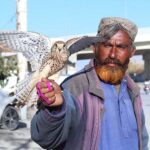 Man holding eagle and waiting for customer to sell at Jinnah Town Area