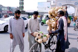 A man is purchasing handmade sparrow grass nests from roadside stall