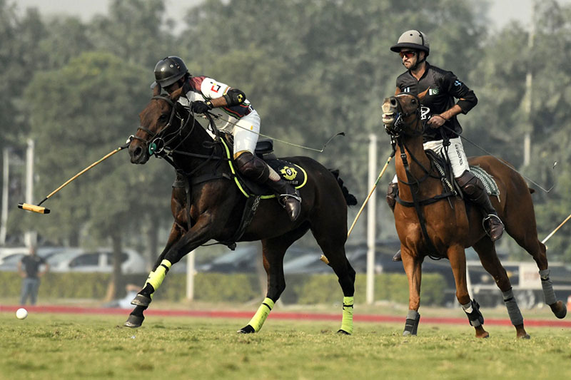 Polo champ on sale