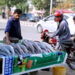 A vendor selling fish at his roadside setup