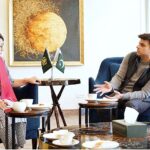 SAPM, Jawad Sohrab Malik meets with Ms Chihoko Asada-Miyakawa, Assistant Director General & Regional Director, International Labour Organisation (ILO) at the Ministry of Overseas Pakistanis