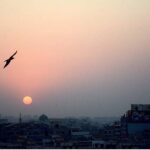 An eye catching view of sunset with Eagle flight in the sky