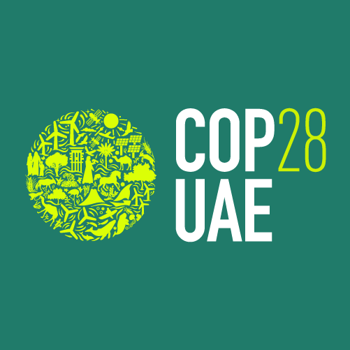 Pakistan leads charge on climate action at COP28 in Dubai