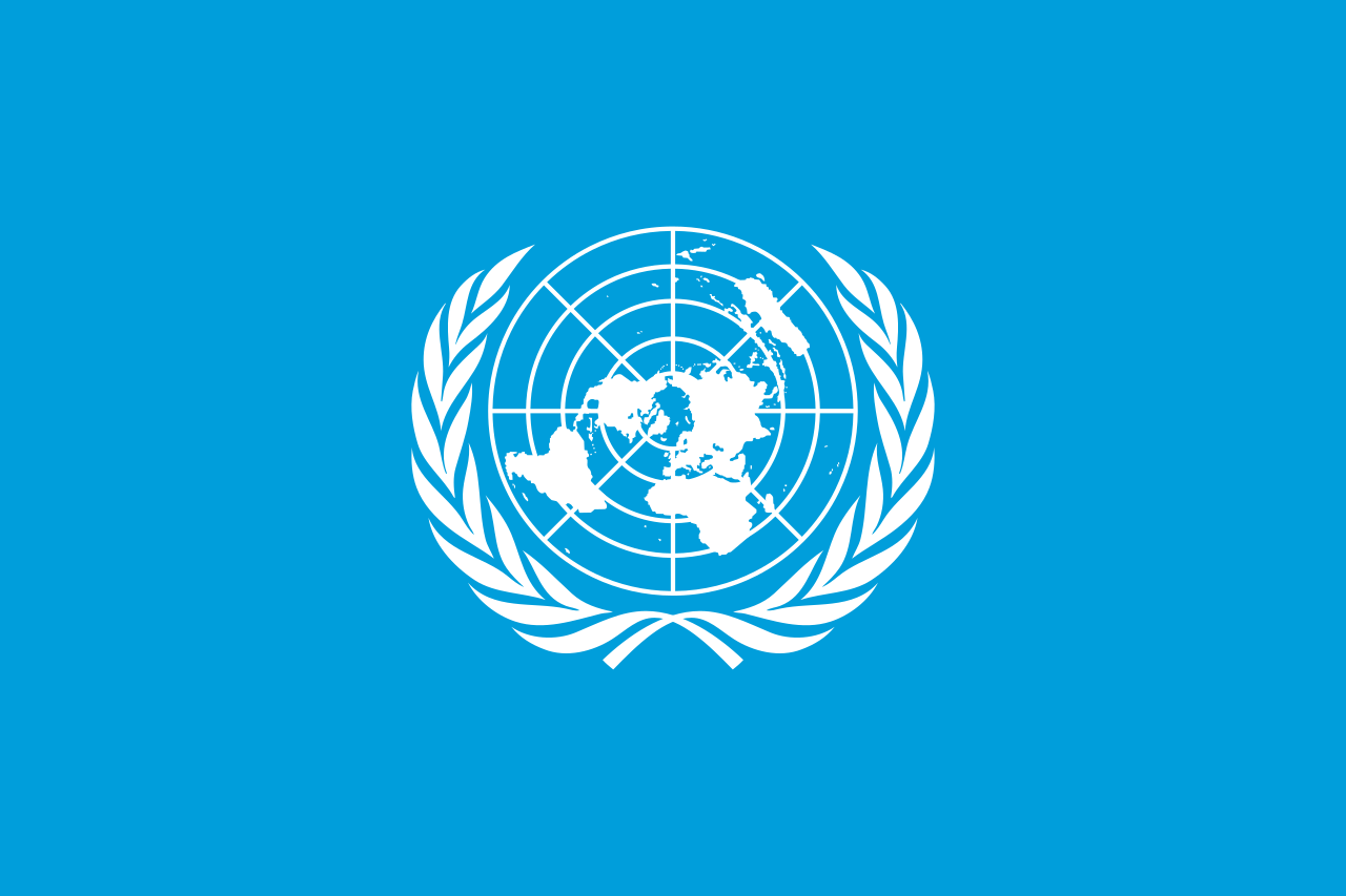 UN LOGO