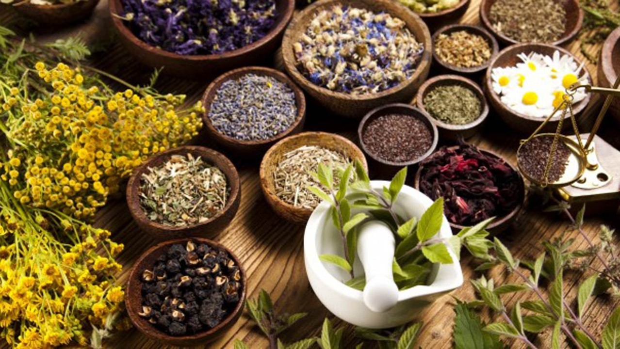Swiss investors keen to explore Pakistani market for herbal medicines