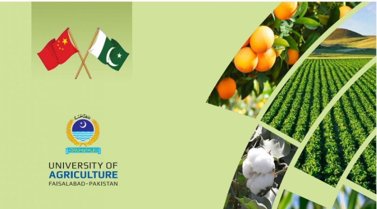 4th Sino-Pakistan Agriculture Forum starts at UAF