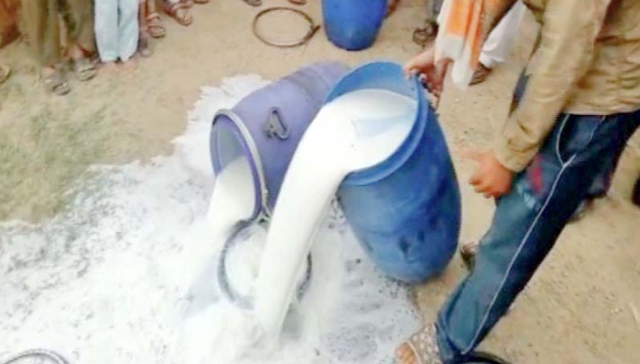 Food Authority discards 340 litres adulterated milk, 200 cartons of counterfeit milkpack