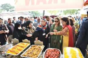 Late breast cancer diagnosis causes 44,000 deaths annually in Pakistan: Begum Alvi