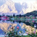 PTDC