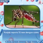 dengue