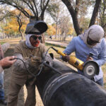 SNGPL staffers busy welding gas pipeline during installation at G-7 area in the Federal Capital.