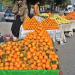 Vendors waiting for customers to sell oranges and guava at Murree Road.