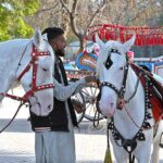 Vendor along with horses waiting for costumers at Lakeview Park in the Federal Capital