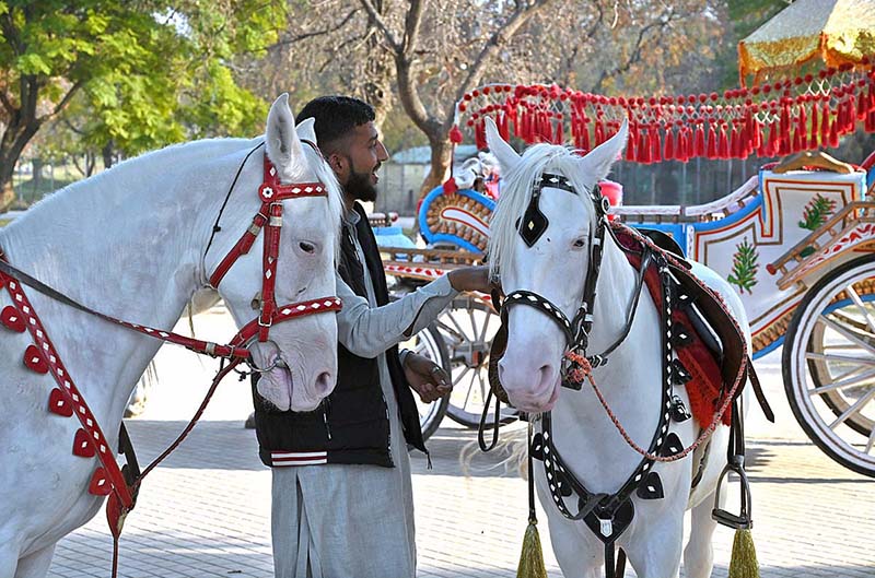 Vendor along with horses waiting for costumers at Lakeview Park in the Federal Capital