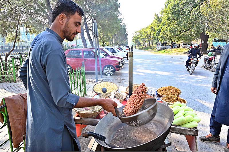 A street vendor roasting peanut at his roadside setup in Federal Capital