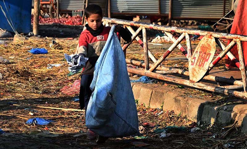 A gypsy child collecting garbage at Fruit and vegetable market in the Federal Capital