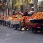 Vendors displaying and selling seasonal fruits at roadside.