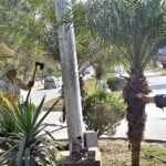 CDA workers cutting branches of trees on greenbelt at Shah Latif Bhattai Road in Federal Capital