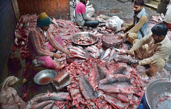 A fish seller cleaning fishes to attract the customers at their setup in wholesale fish market.