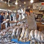 People purchasing fish from vendor in Weekly Bazaar at Peshawar Mor