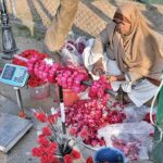 An elderly woman busy in preparing flower garland to attract the customers in Federal Capital.