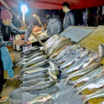 People purchasing fishes displayed by a roadside vendor at Khanna Pul area