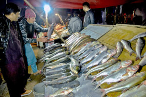  People purchasing fishes displayed by a roadside vendor at Khanna Pul area