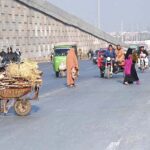 An aged man crossing road with his handbarrow loaded with dry woods, collected for domestic use in the Federal Capital