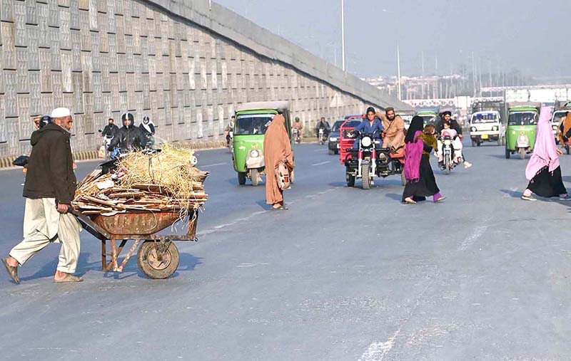 An aged man crossing road with his handbarrow loaded with dry woods, collected for domestic use in the Federal Capital